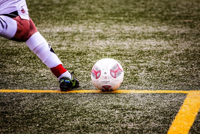 一股新鲜活 一股新鲜活