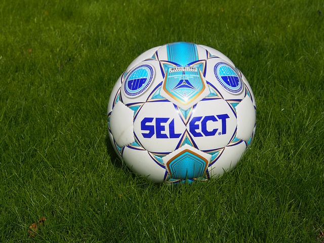 生态账的共 生态账的共