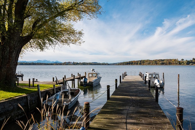 观赏性兼具 观赏性兼具